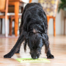 Cargar imagen en el visor de la galería, Lickimat Soother - alfombra comedero