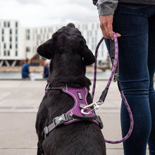 Cargar imagen en el visor de la galería, arnés Dog Copenhaguen