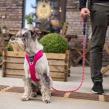 Cargar imagen en el visor de la galería, arnés Dog Copenhaguen