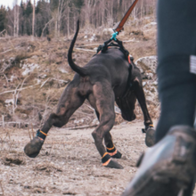 Cargar imagen en el visor de la galería, botitas de protección non-stop dogwear