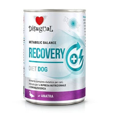 Cargar imagen en el visor de la galería, Disugual Diet Recovery - Latas de comida húmeda