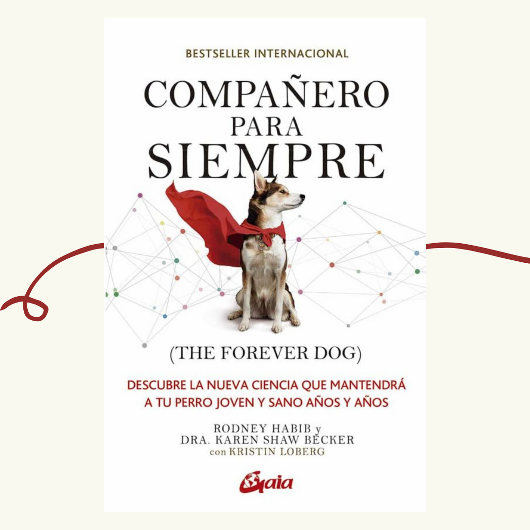 Libro Compañero para siempre - The Forever Dog