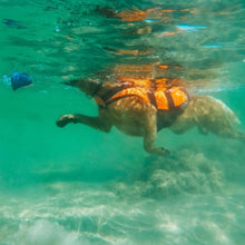 Cargar imagen en el visor de la galería, CHOLLO - Non-Stop Dogwear - Safe Life Jacket 2.0 - Chaleco salvavidas - Talla 3