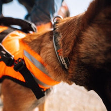 Cargar imagen en el visor de la galería, CHOLLO - Non-Stop Dogwear - Safe Life Jacket 2.0 - Chaleco salvavidas - Talla 3