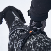 Cargar imagen en el visor de la galería, arnés para perros non stop dogwear con asa