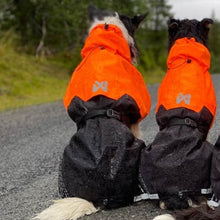 Cargar imagen en el visor de la galería, Non-Stop Dogwear Fjord Raincoat - Chubasquero para perros