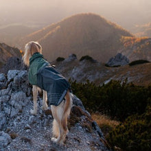 Cargar imagen en el visor de la galería, Non-Stop Dogwear Fjord Raincoat - Chubasquero para perros