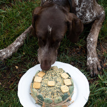 Cargar imagen en el visor de la galería, Tarta de cumpleaños perro - Bomba de sardinas y espirulina