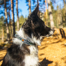 Cargar imagen en el visor de la galería, Non-Stop Dogwear Roam Collar - Collar para perros