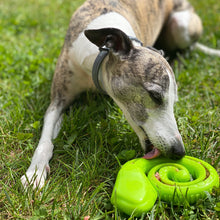 Cargar imagen en el visor de la galería, Serpiente interactiva