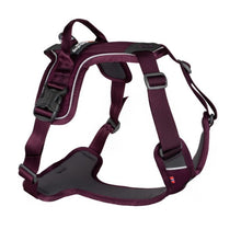 Cargar imagen en el visor de la galería, Non-Stop Dogwear Ramble Harness