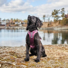 Cargar imagen en el visor de la galería, Non-Stop Dogwear Ramble Harness