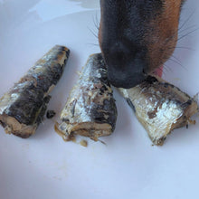 Cargar imagen en el visor de la galería, Canumi - Latas de pescado al natural