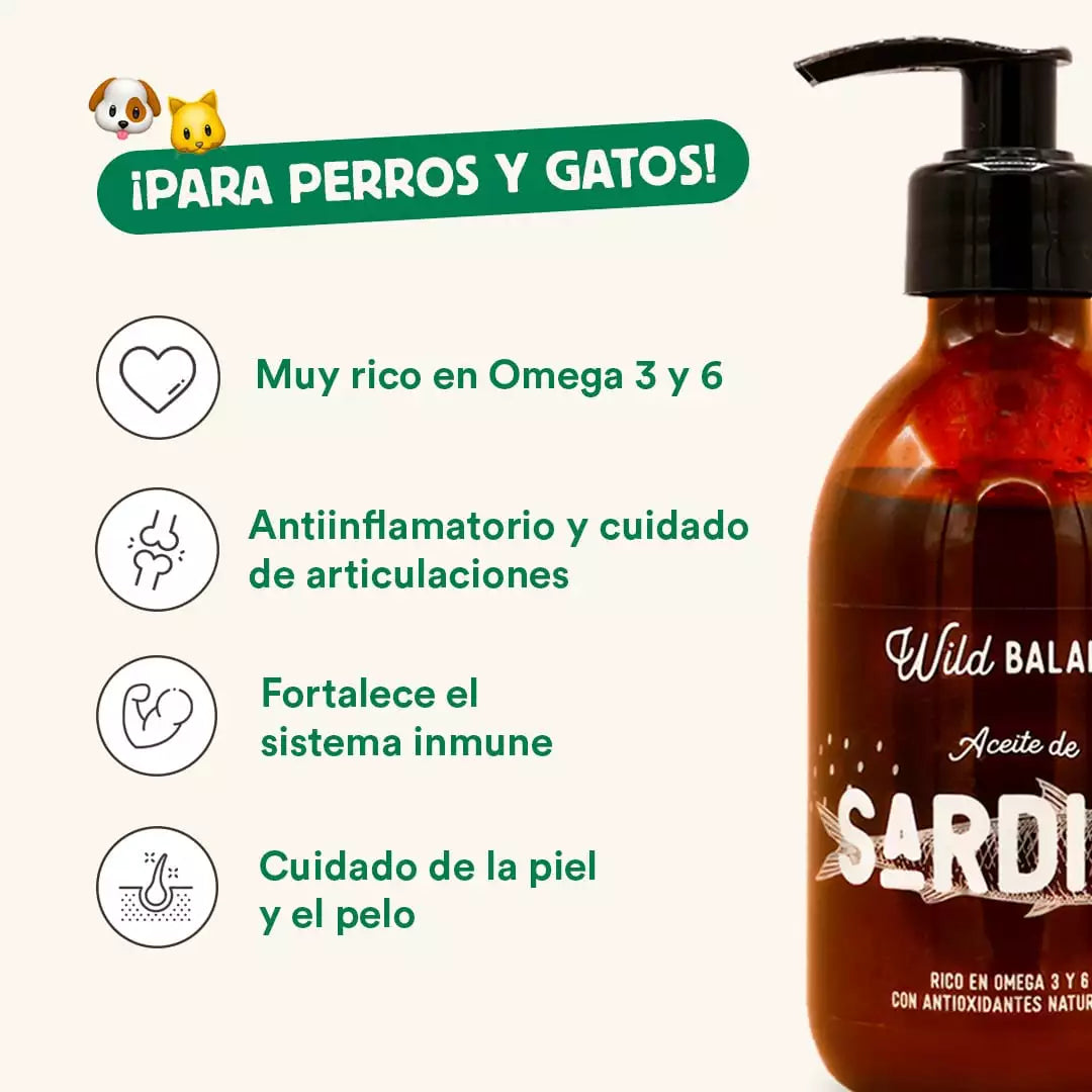 pueden los perros comer sardinas en aceite de soja