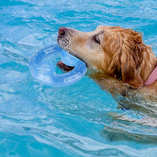 Cómo refrescar a tu perro en verano
