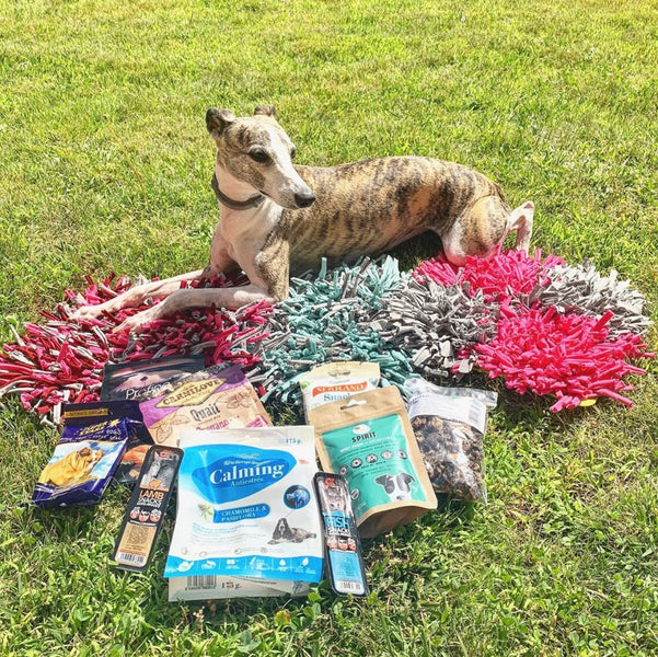 ¡Olfato al poder con tu perro!