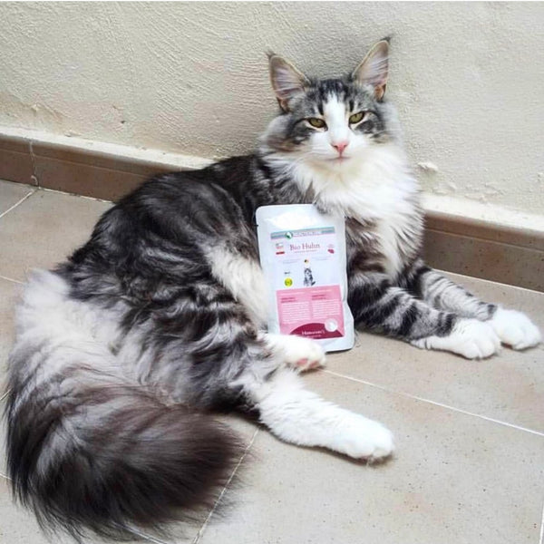 ¿Productos BIO para perros y gatos?