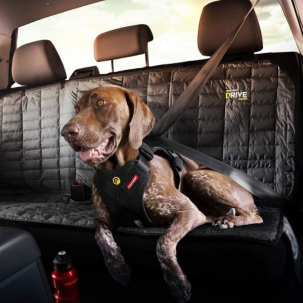 Seguridad en carretera: por qué tu perro necesita un arnés homologado
