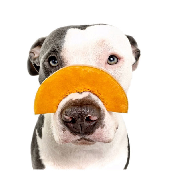 Diarreas puntuales, soluciones caseras