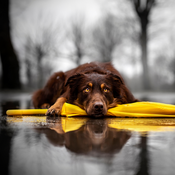 Cómo jugar en días de lluvia