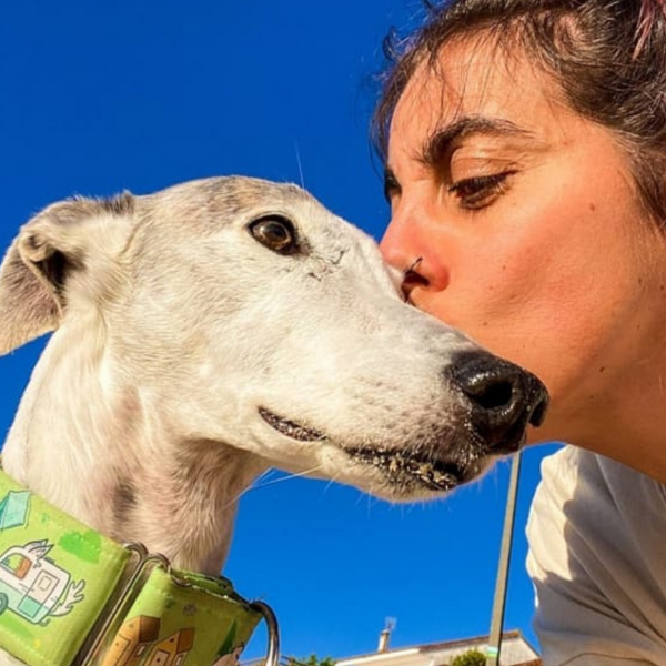 Conociendo más a @haciendoelgalgo