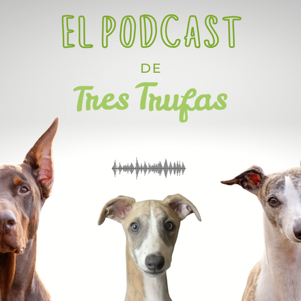 ¡2º Aniversario de Tres Trufas!