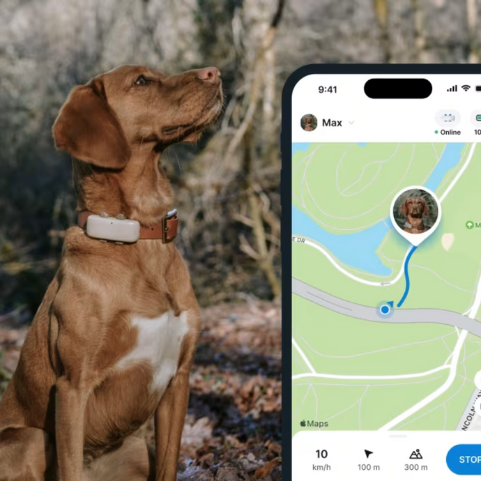 El mejor GPS para perros y gatos: Tractive