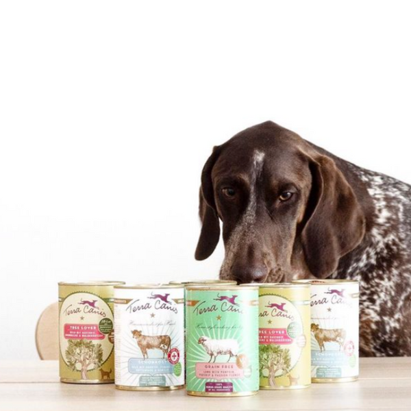 latas húmedas para perros