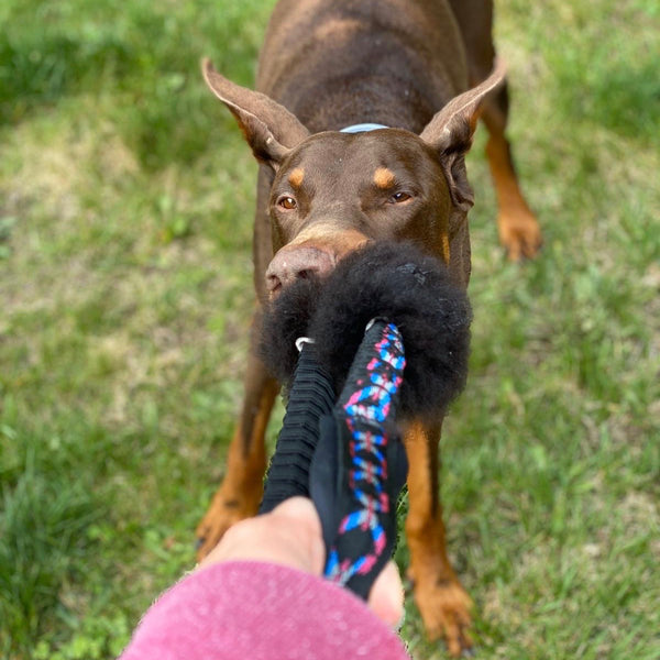 Motivadores naturales para perros: qué son y cómo usarlos
