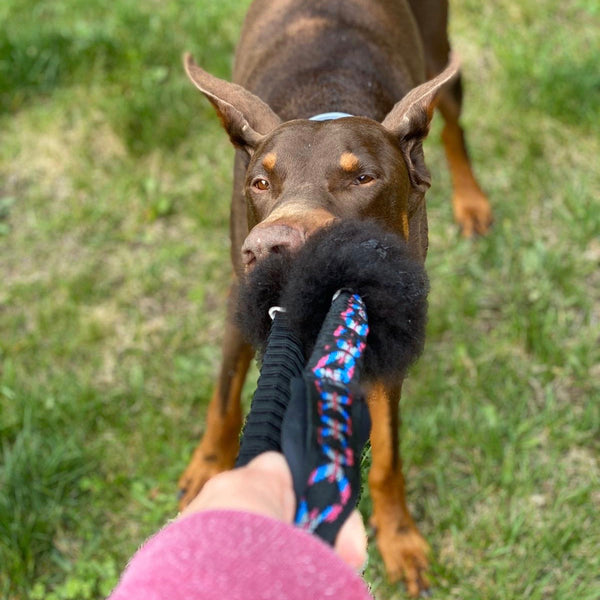 Motivadores naturales para perros: qué son y cómo usarlos