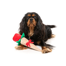 Cargar imagen en el visor de la galería, Sra. Rosa Eterna 🌹