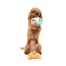 Cargar imagen en el visor de la galería, Pack Sr. Guauccino y Sra. Croissanta