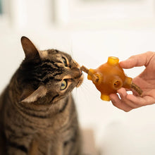 Cargar imagen en el visor de la galería, Retorn - Sticks dentales naturales para gatos