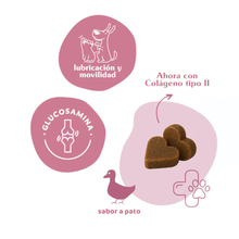 Cargar imagen en el visor de la galería, Doog Life - Suplemento articular perros y gatos