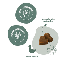 Cargar imagen en el visor de la galería, The Doog Life - Allergy Balance - Suplemento alergias &amp; inmunidad