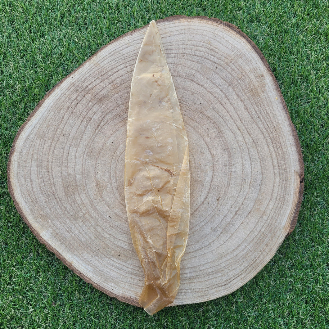 🎁 Vejiga de ternera (100% off)