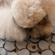 Cargar imagen en el visor de la galería, Fuzzyard Lick Mat - Alfombra Olfativa