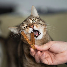 Cargar imagen en el visor de la galería, Retorn - Sticks dentales naturales para gatos