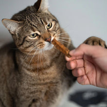 Cargar imagen en el visor de la galería, Retorn - Sticks dentales naturales para gatos