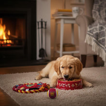 Cargar imagen en el visor de la galería, Pack Fan Top Gryffindor - Harry Potter