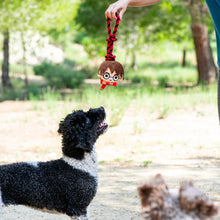 Cargar imagen en el visor de la galería, Harry Potter juguete con cuerda
