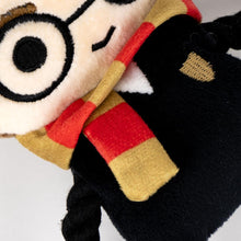 Cargar imagen en el visor de la galería, Harry Potter juguete multicuerda