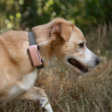 Cargar imagen en el visor de la galería, Funda DOG 6 - Tractive Localizador GPS para perros