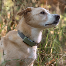 Cargar imagen en el visor de la galería, Funda DOG 6 - Tractive Localizador GPS para perros