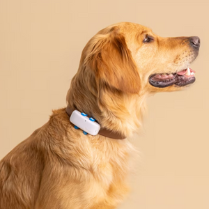 Tractive DOG 4 - Localizador GPS para perros -40%