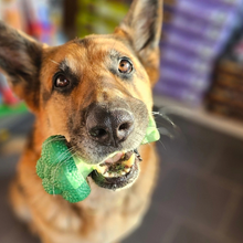 Cargar imagen en el visor de la galería, Juguete Nylabone - Brocoli