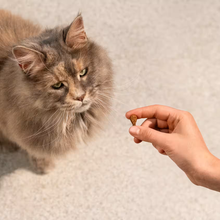 Cargar imagen en el visor de la galería, Carnilove - Bocaditos semihúmedos para gatos
