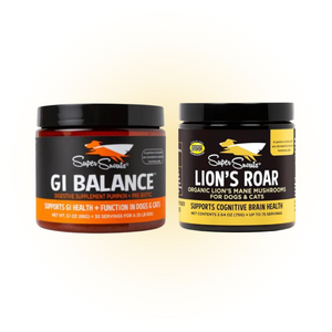 Pack Digestivo - GI Balance + Lion's Roar