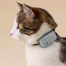 Cargar imagen en el visor de la galería, Tractive Cat Mini - Localizador GPS para gatos y perros mini -40%