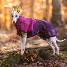 Cargar imagen en el visor de la galería, Non-Stop Dogwear Fjord Raincoat - Chubasquero para perros